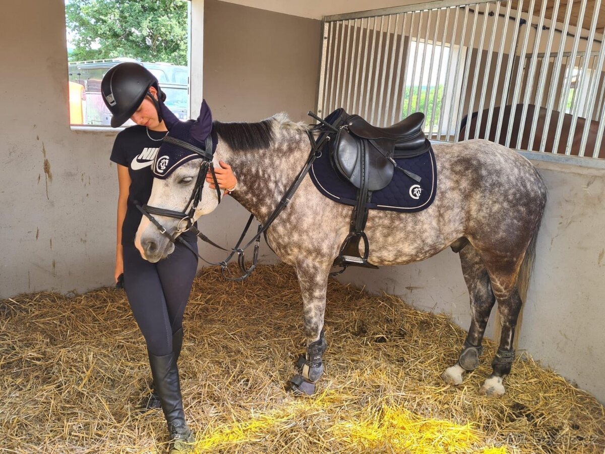 ⭐️ Krásný valášek na prodej ⭐️ - 8