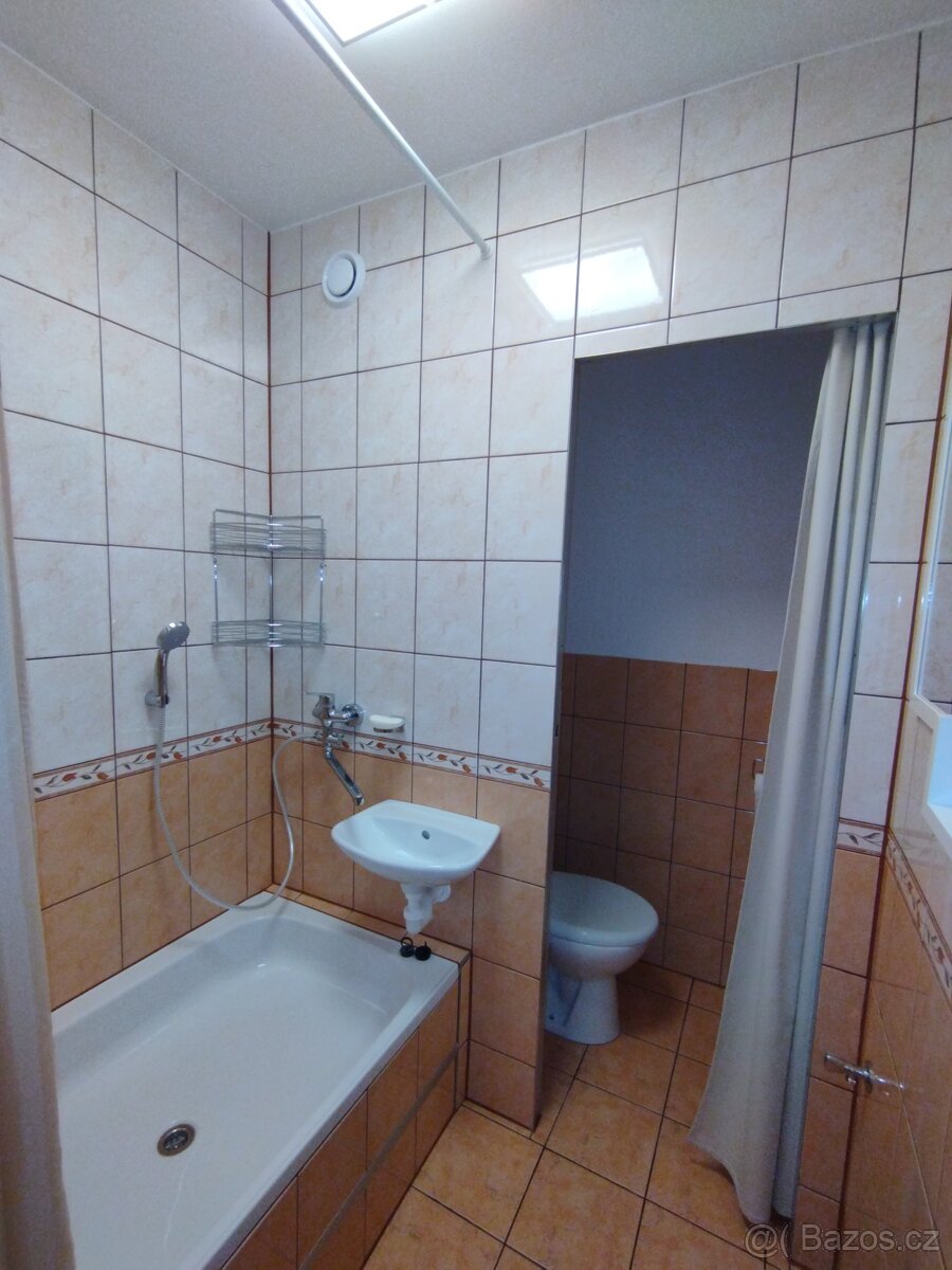 Pronajmu byt 1+1 v Telči - 8