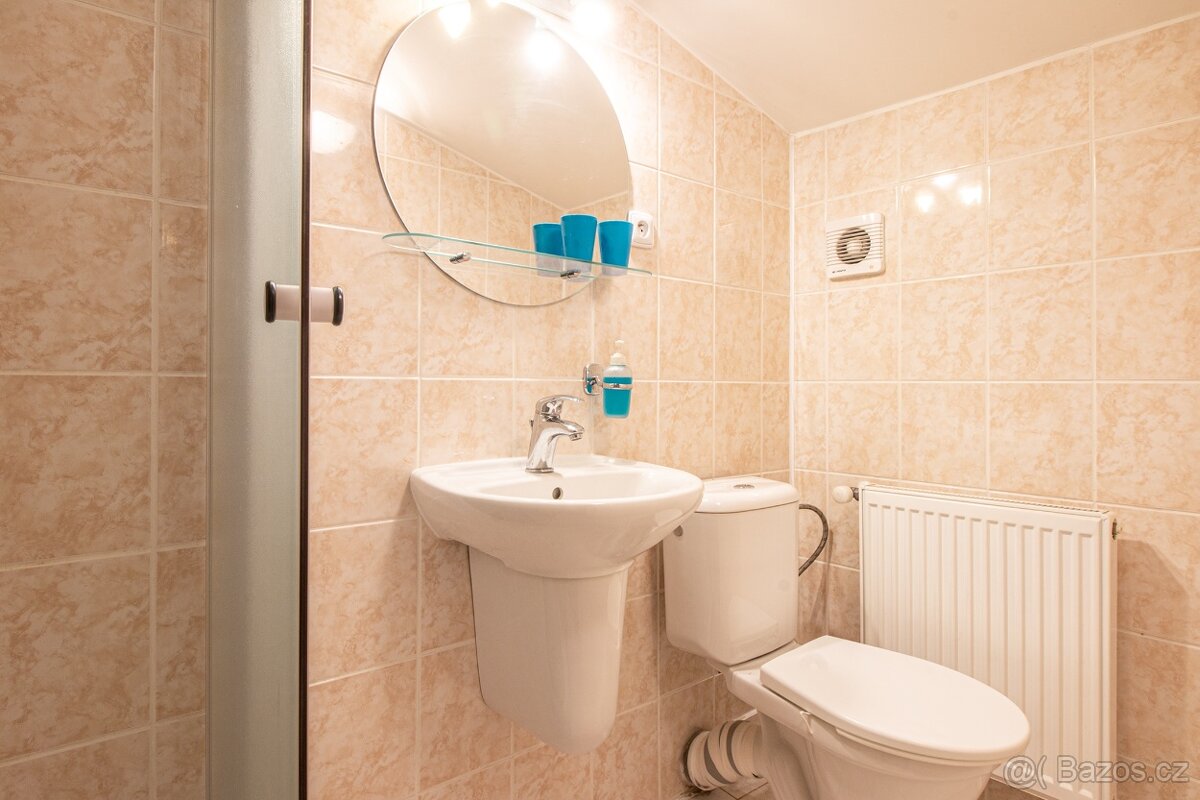 Horský penzion Horní Světlá - Mařenice - 8