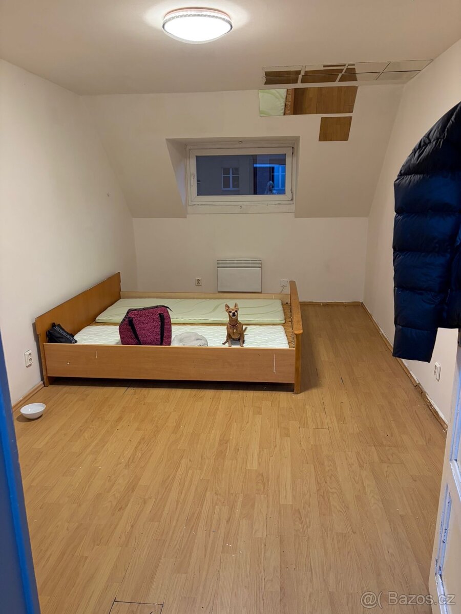 Byt 60m2 + podkroví 40 m2 - 8