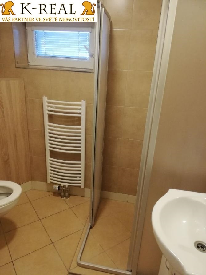 Pronájem byt 2+kk Jámy, okr. Žďár nad Sázavou - 8