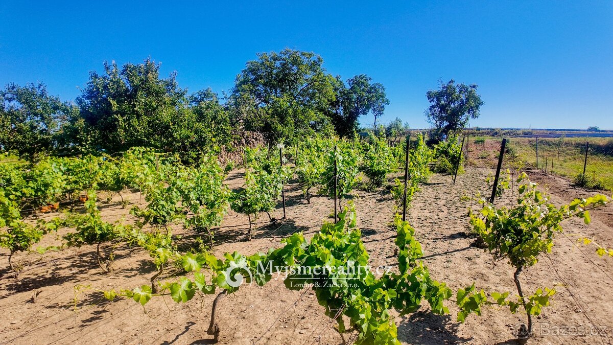 Na prodej pozemek - zahrada 1 132 m² s krásným výhledem + mo - 8
