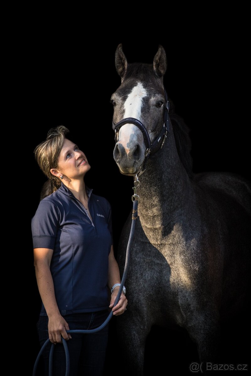 6ti letá klisna po Heartbreak - 8