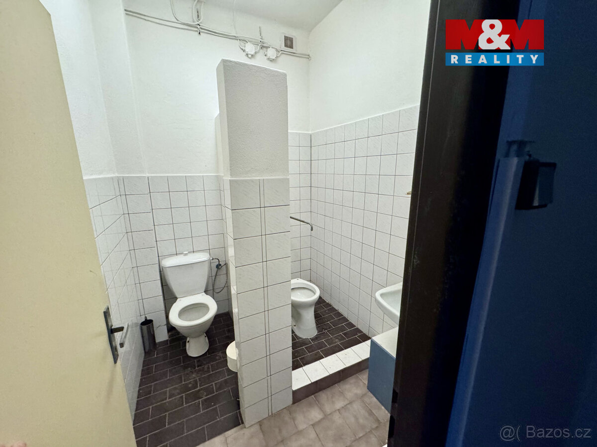 Pronájem výrobního objektu, 220 m², Hostomice - 8