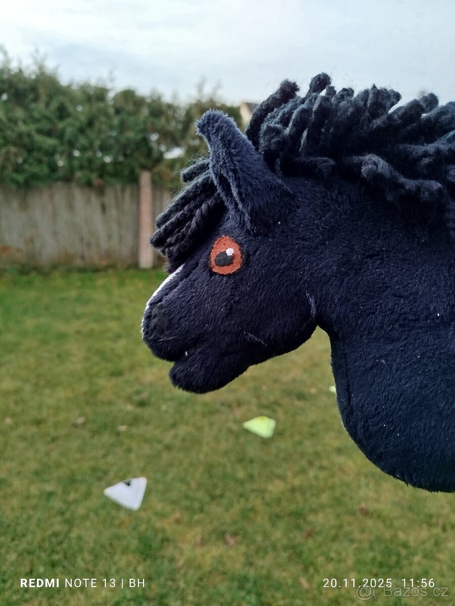 Hobby horse - 8