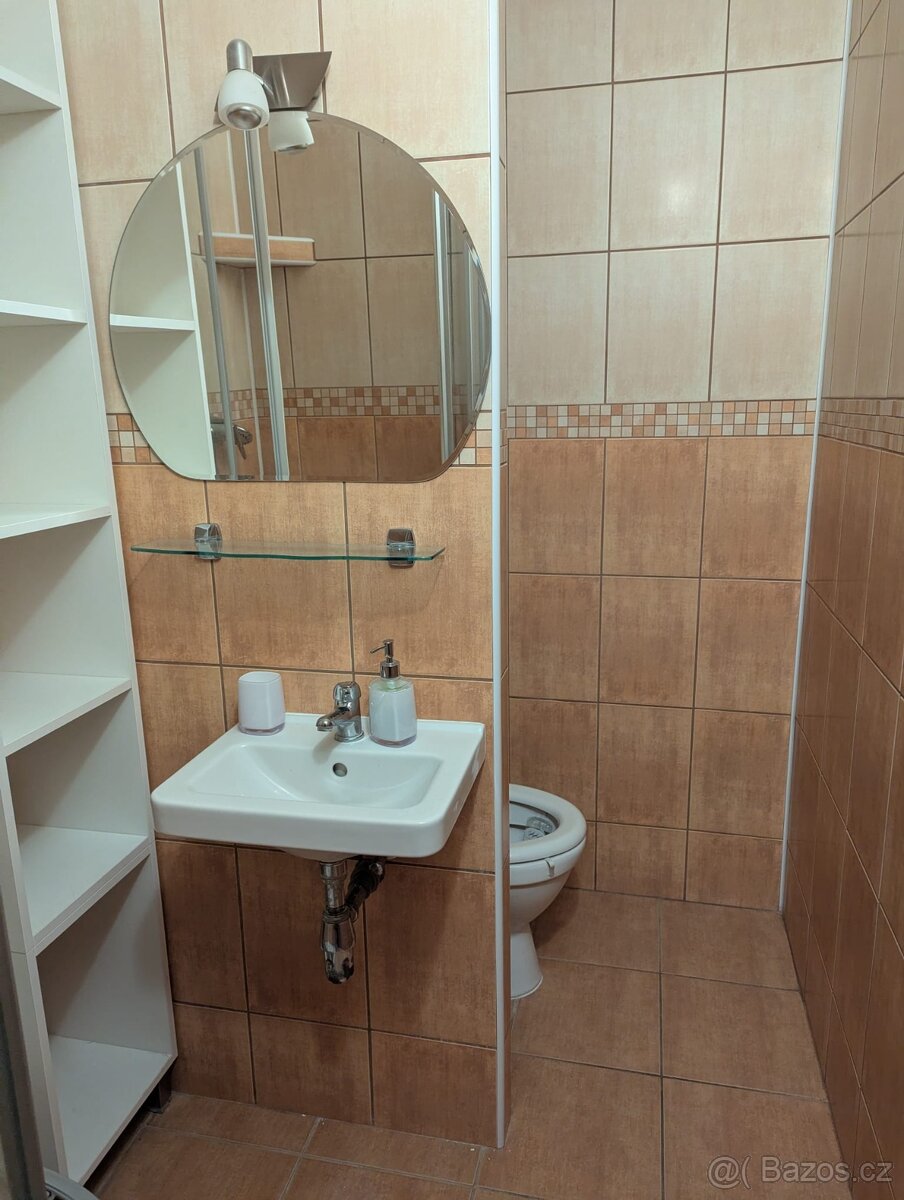 Pronájem bytu 1+1 33 m² U Splavu, Břeclav - 8