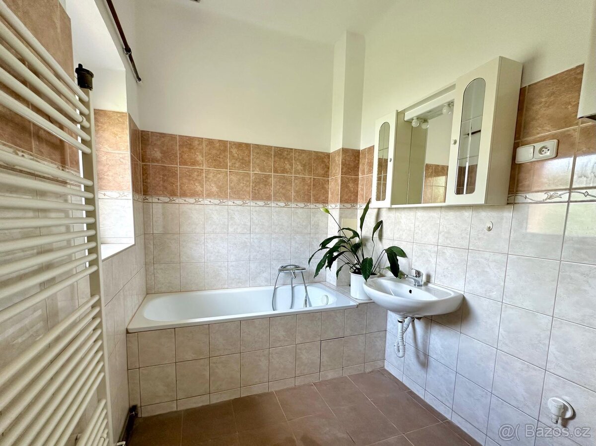 Pronájem bytu 1+1- Praha 3 - 8