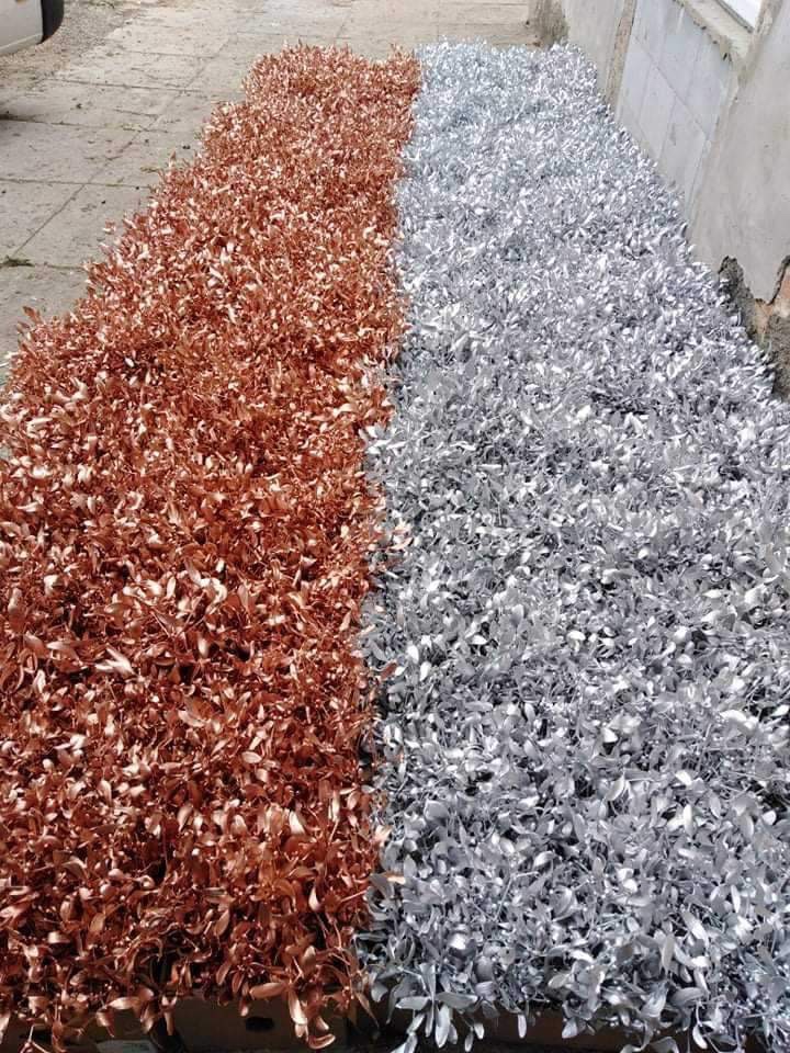 Prodej jmelí 2025🌿 - 8