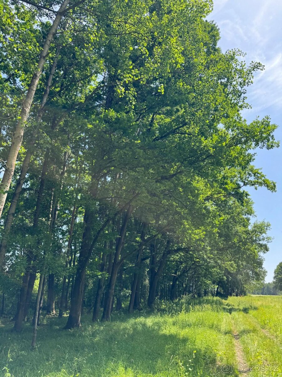 Prodám pozemky v katastrálním území Stará Hlína - 8