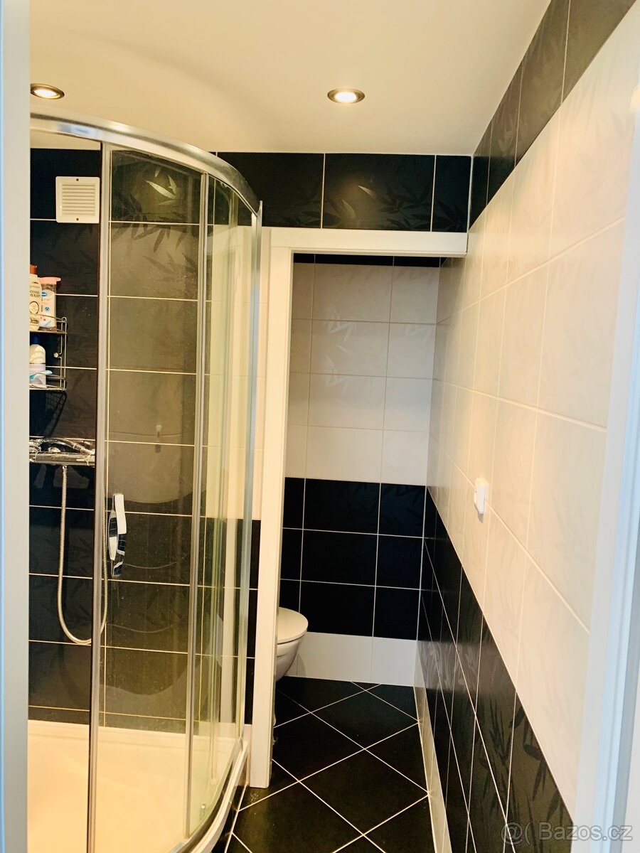 Pronájem zařízeného bytu 2+1 - Třebíč - 8