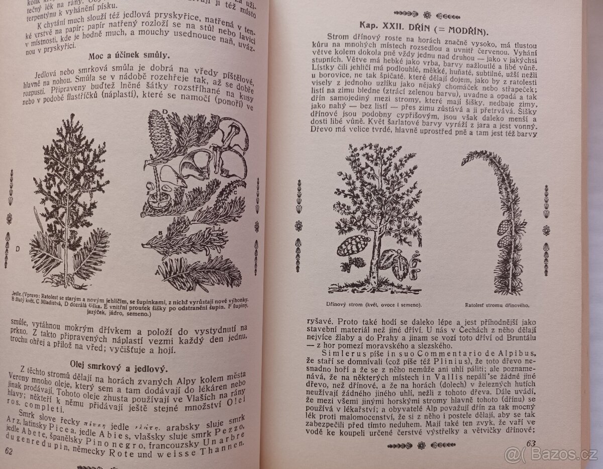 Herbář neboli bylinkář - 8