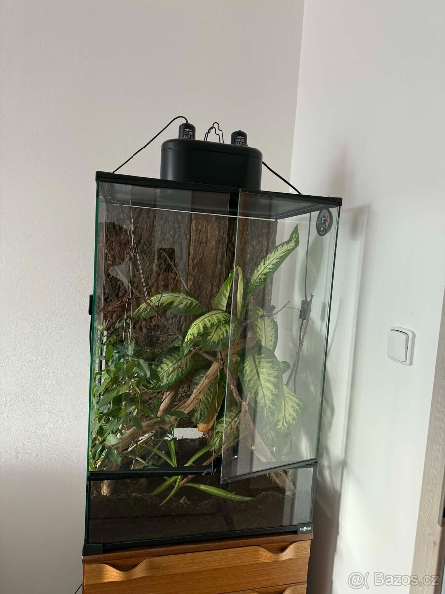 RP terárium 60x45x90 cm - 8
