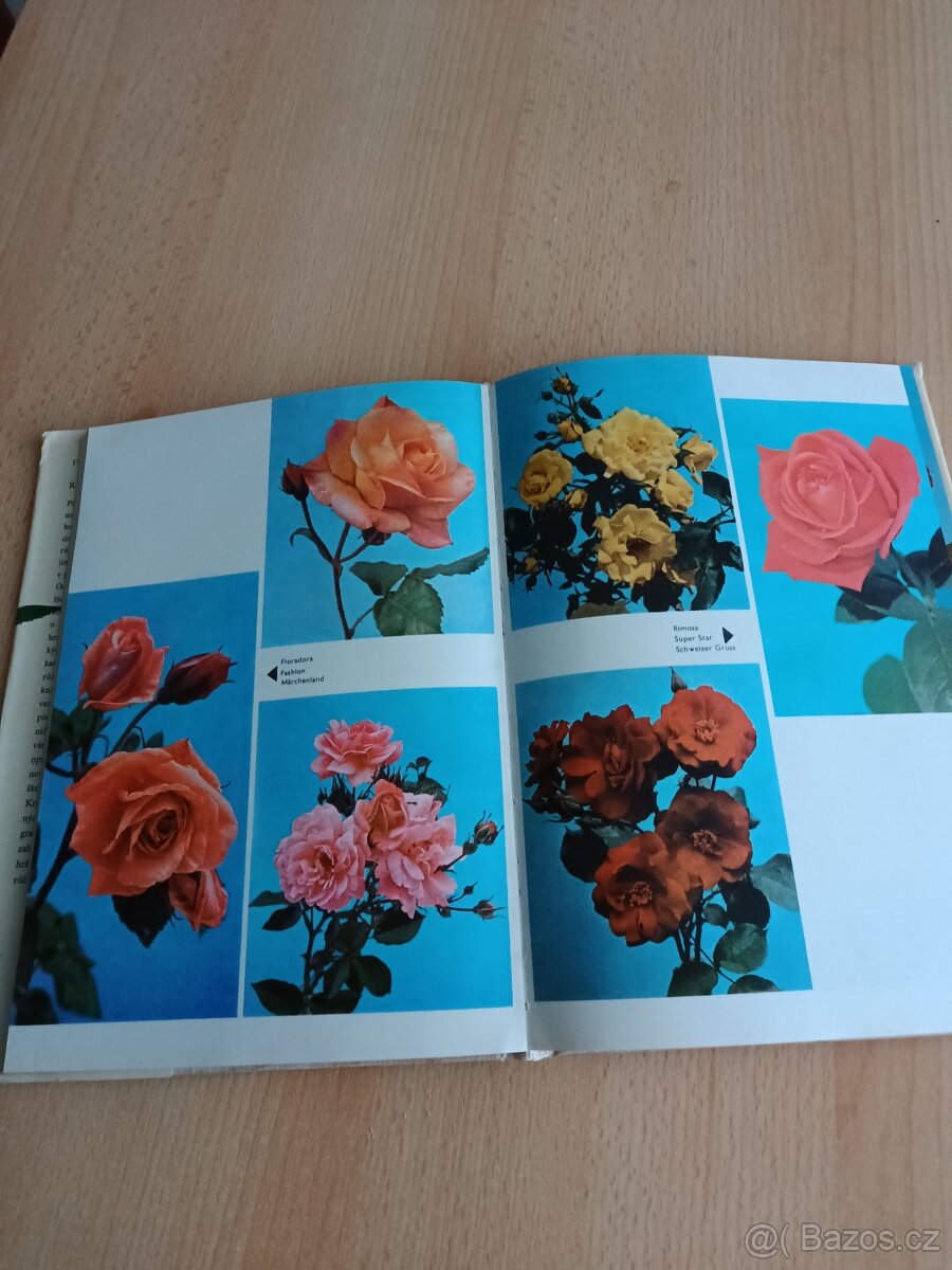 Alpínky,Růže,Atlas hub - 8