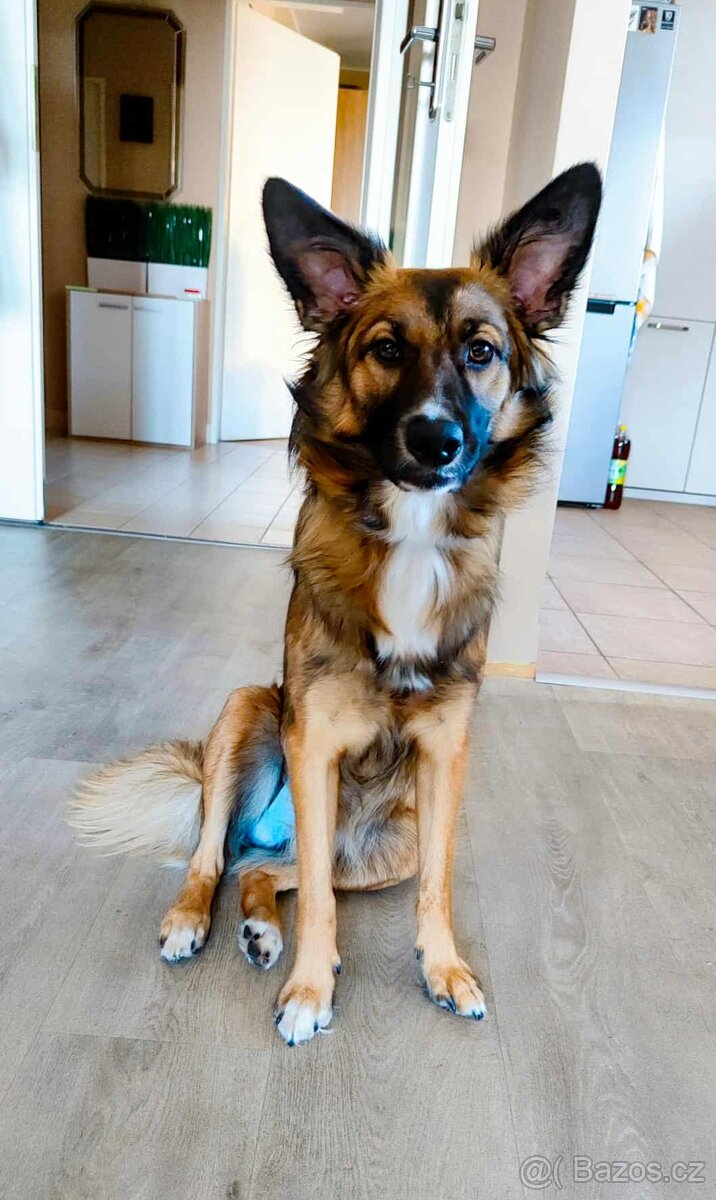 Úžasná Mia hledá domov - 8