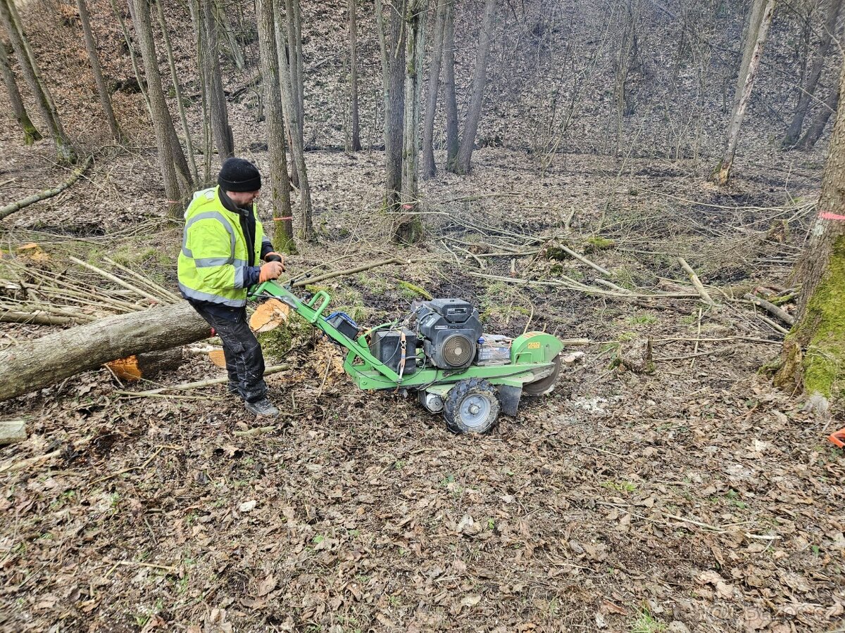 Frézování pařezů - 8