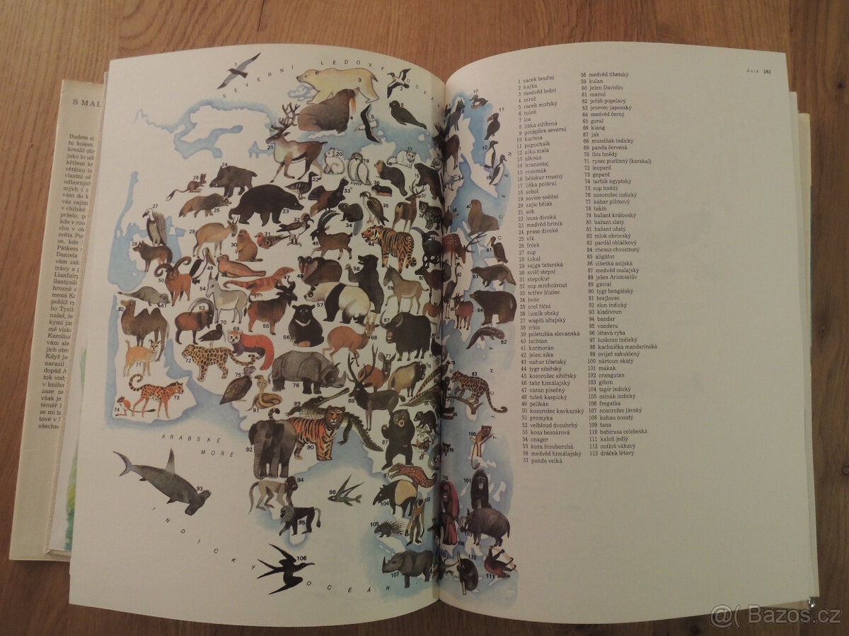 S malířem kolem světa malovaná encyklopedie děti - 8