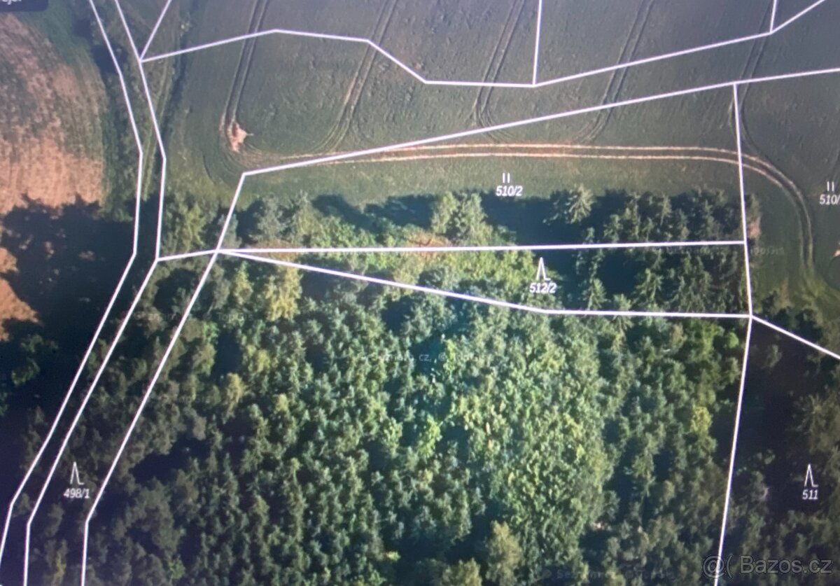 Prodám lesní pozemek Čepřovice - 8