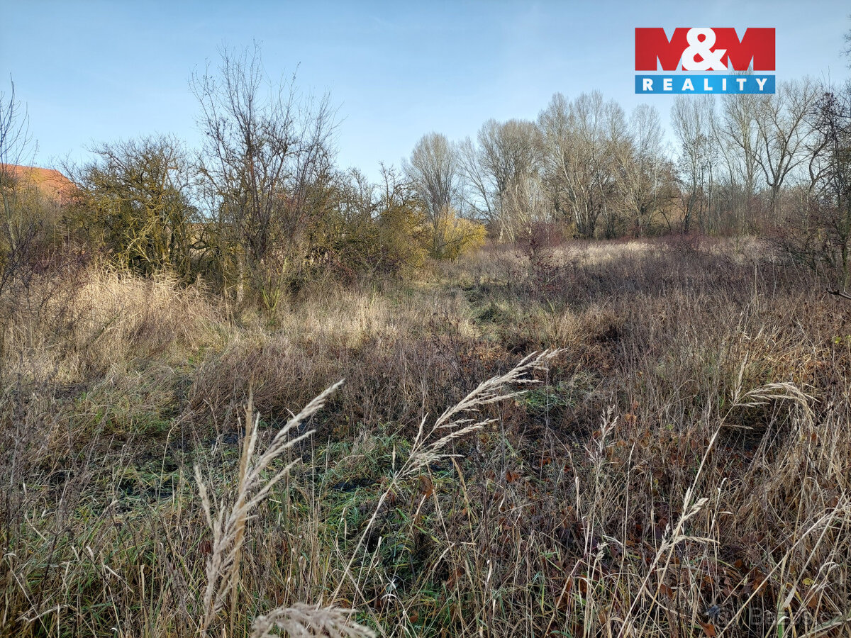 Prodej komerčního pozemku, 16998 m², Třebovle - 8