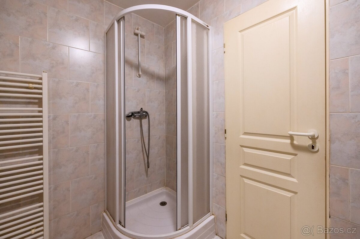 Pronájem bytu 2+kk 68 m², Plzeň - Jižní Předměstí - 8