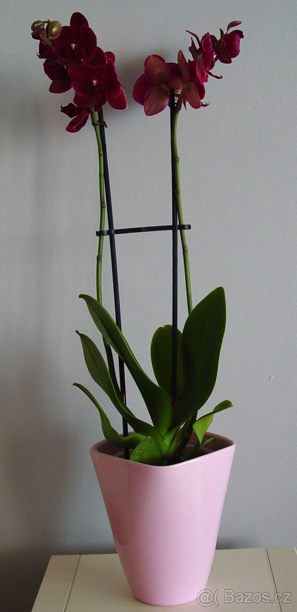 Knihy, úchytky, obaly na kytky, misky a jiné - 8