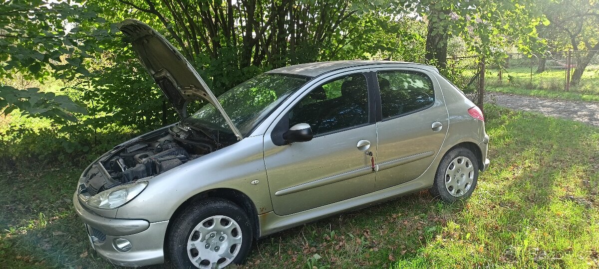 Peugeot 206 - 8