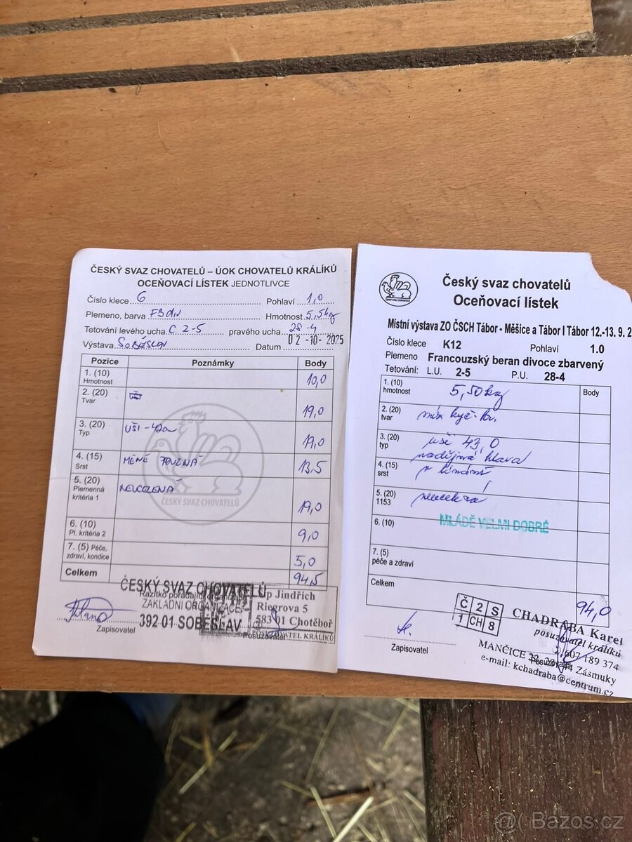 Francouzský beran s PP - 8