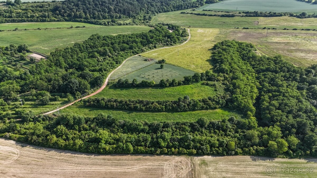 Prodej 1/4 pozemku, Bechlín - 8