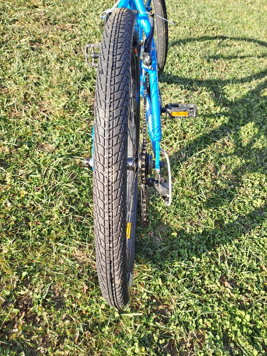 Core Nipper 24" - PĚKNÉ - 8