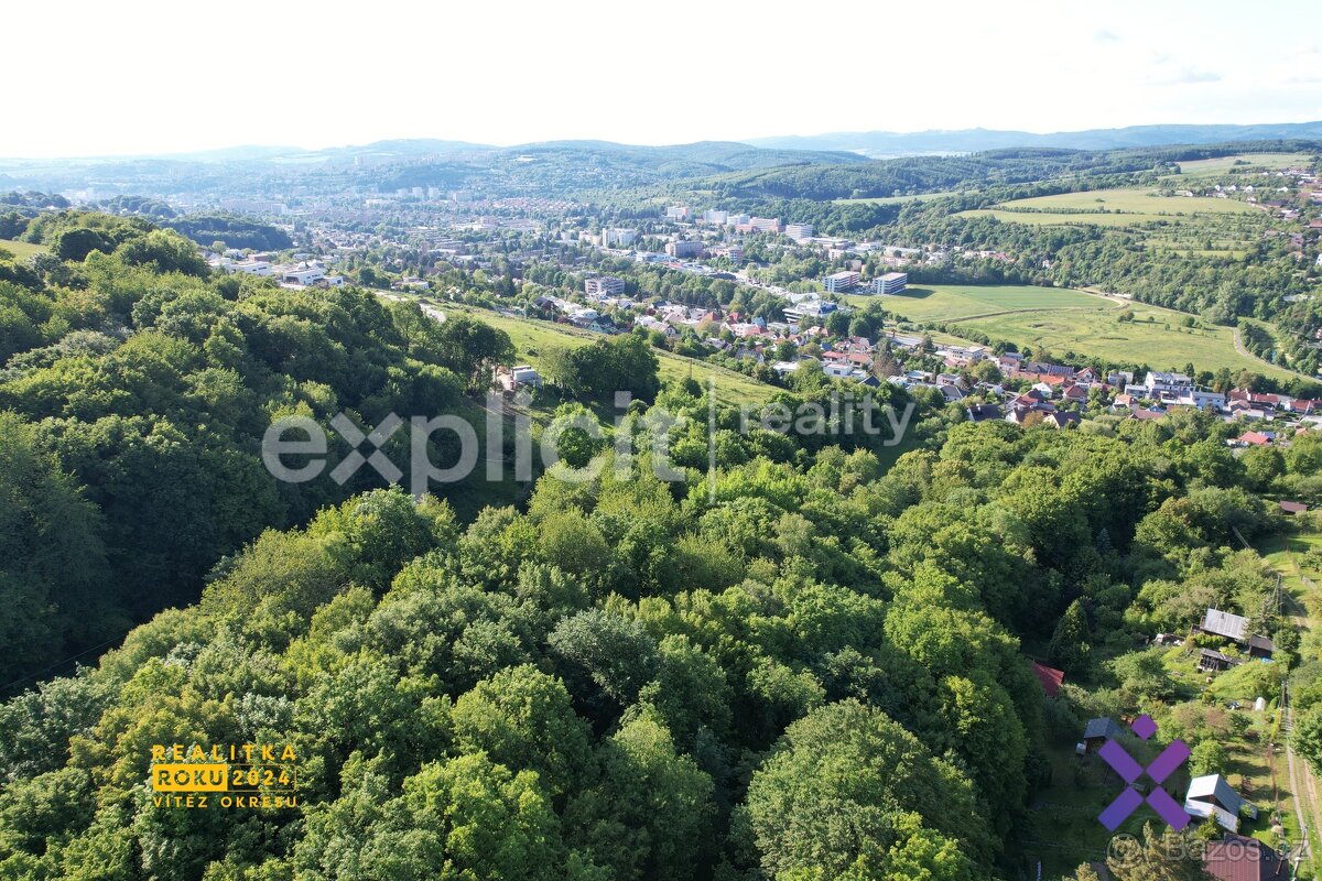 Prodej souboru pozemků (lesy, louky) v Přílukách u Zlína 10 - 8