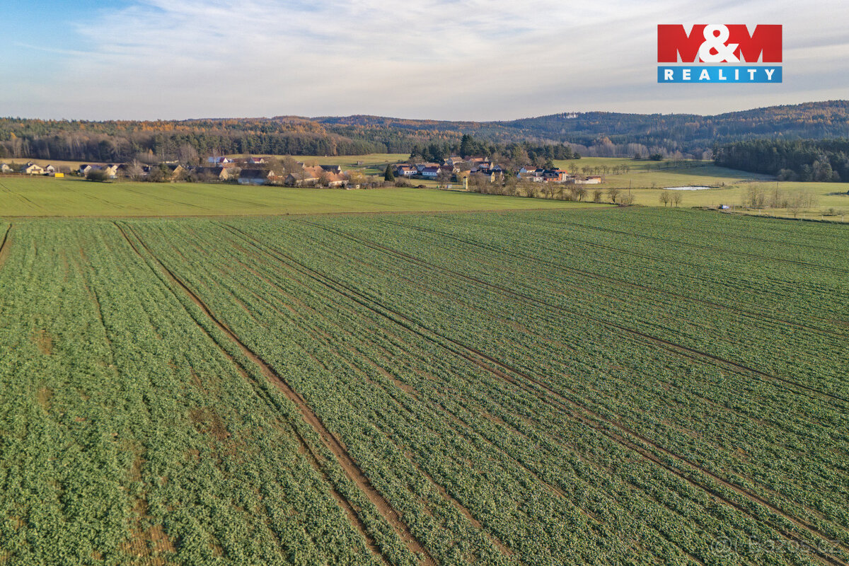 Prodej pole, 3590 m², Zemětice - 8