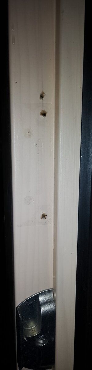 Dveře Internorm - trojsklo- kombinace dřevo, hliník, plast - 8