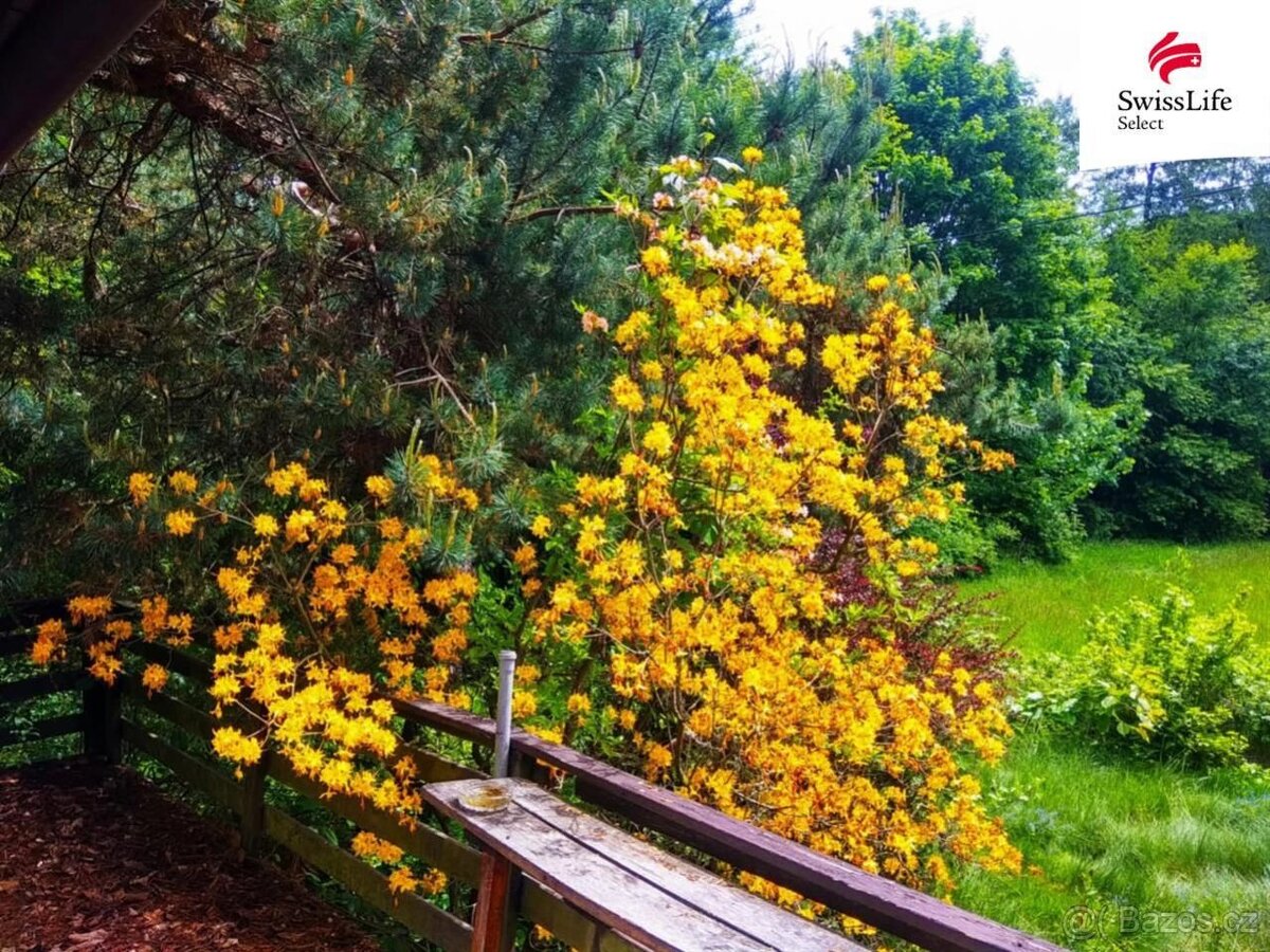 Prodej chaty 40 m2, Radešín - 8