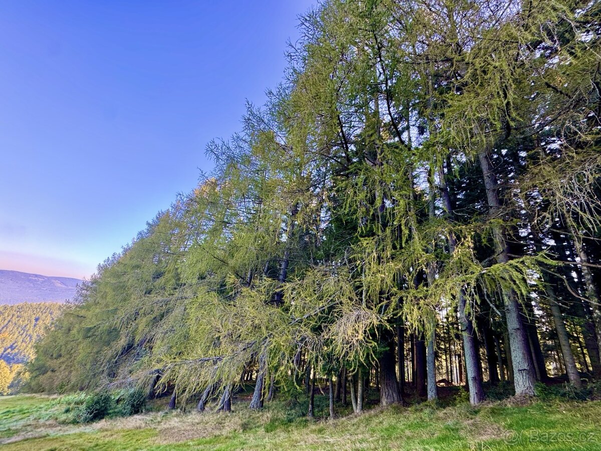 Prodej, pozemek, 56 548 m, 47, Hutisko-Solanec - Solanec po - 8