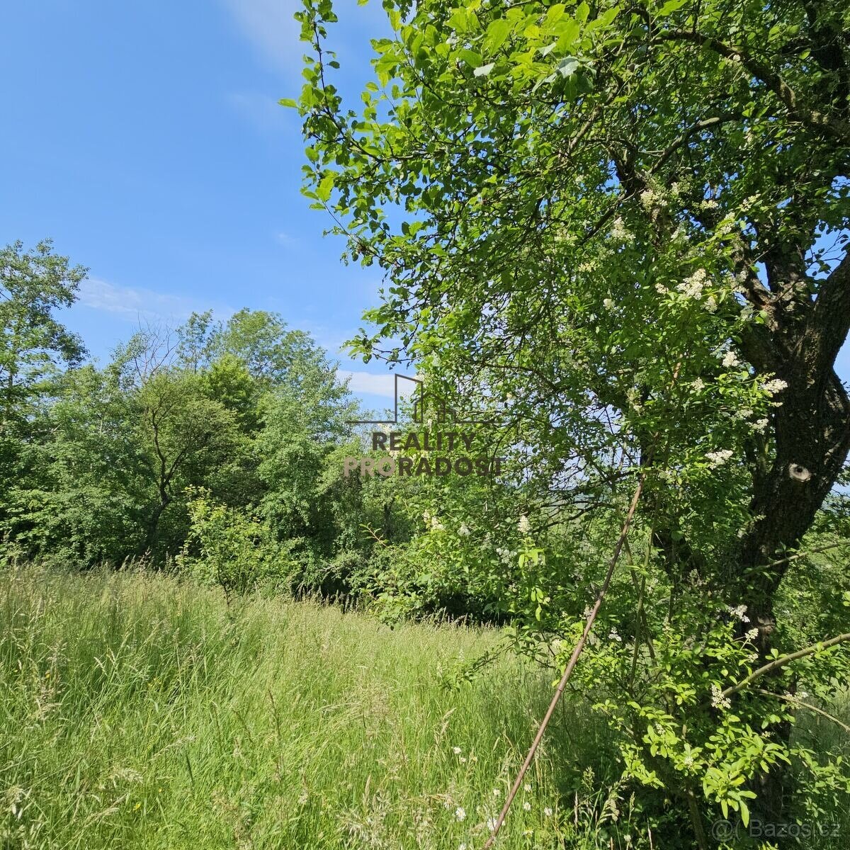 Prodej ovocného sadu 4 253 m2 v Koryčanech - 8