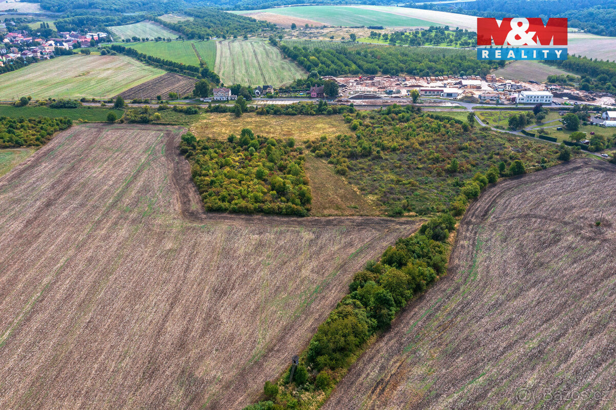 Prodej ovocného sadu, 4549 m², Chotiměř - 8