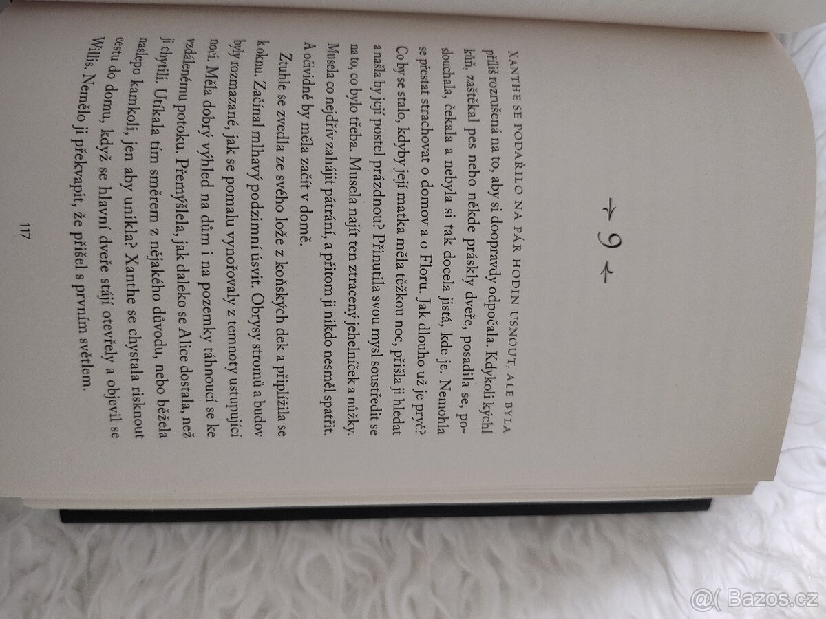 Krámek se starožitnostmi - 8