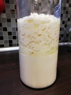 Bio Kefír - Tibetská huba - 8