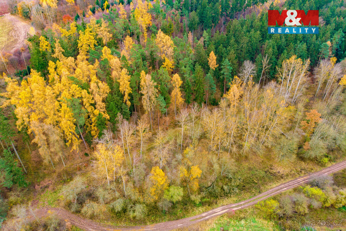 Prodej lesa, 2921 m², Tuchořice - 8