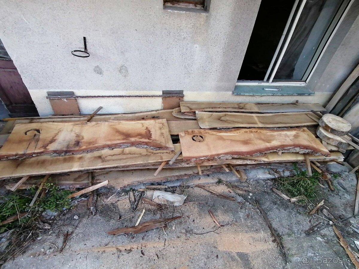 Fošny a hranolky přes 60 druhů exotiky i českých dřevin - 8