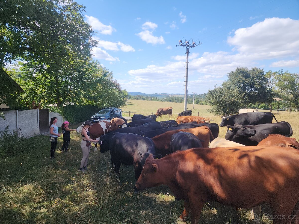 Traktorista řidič bagrista kolega farmář - 8