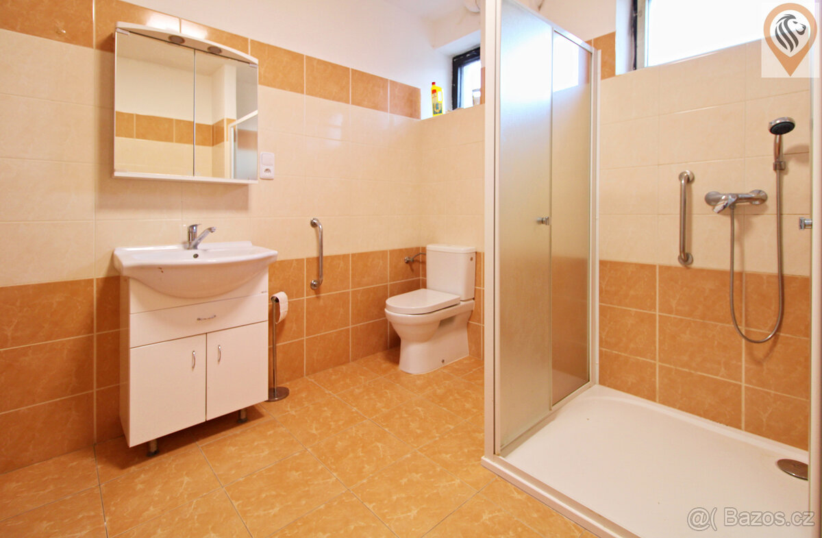 Prostorný rodinný dům se dvěma bytovými jednotkami, velkou z - 8