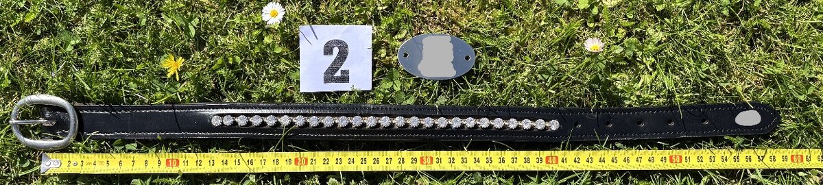 Kožený psí obojek bez připojení na vodítko, náhrdelník MIX - 8