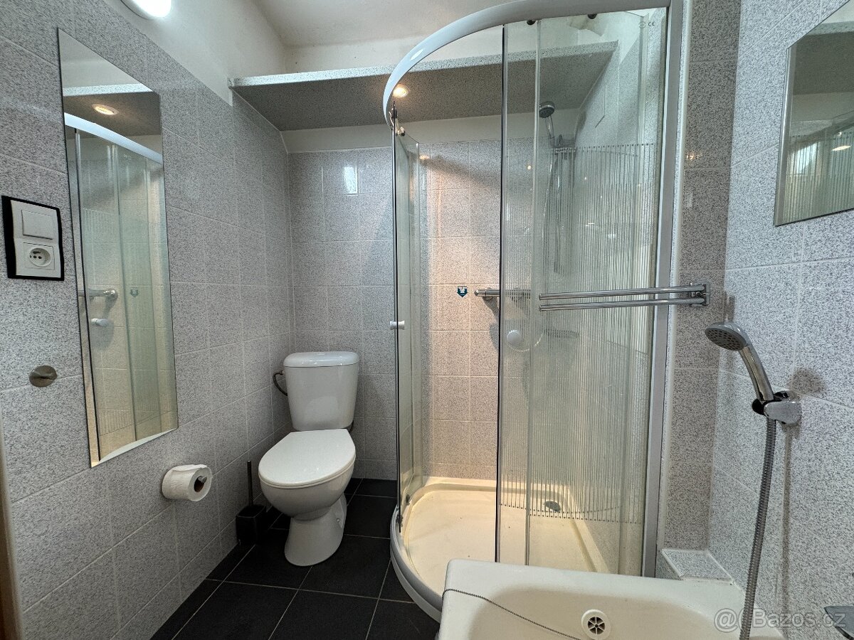 Nadstandardní 1+1, Hradec Králové - Malšovice - 8