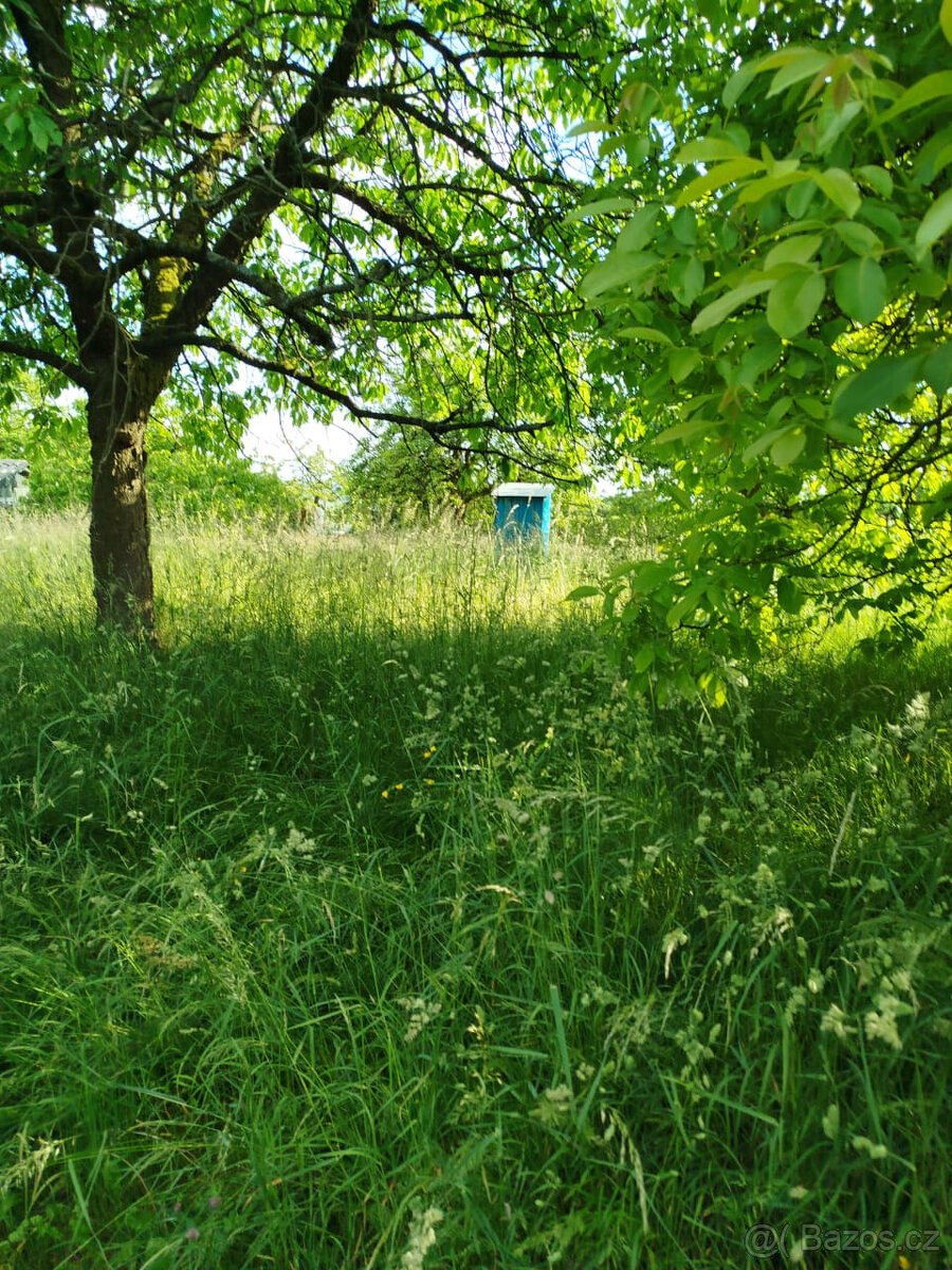 louka na sušení sena - 8