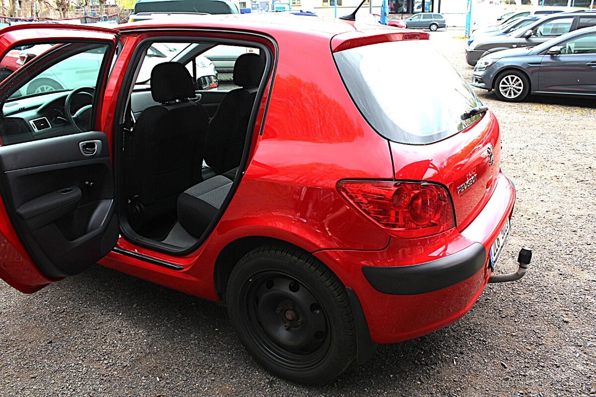 Peugeot 307 - 8