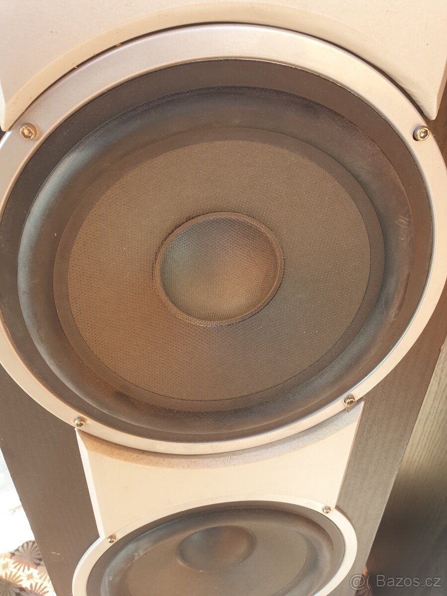 Reprobedny dixon - 8