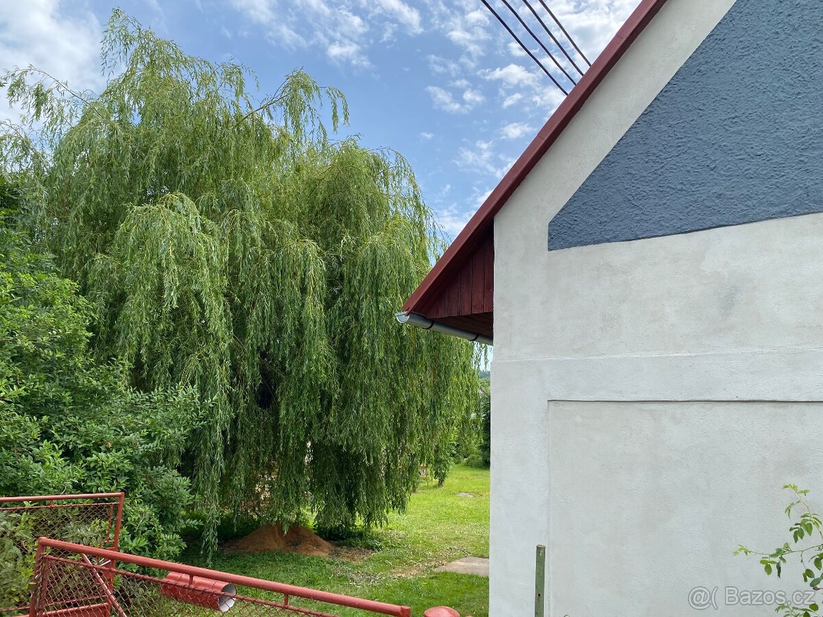 Prodám rodinný dům 3 + 1 s pěkným pozemkem 1000 m2 - 8