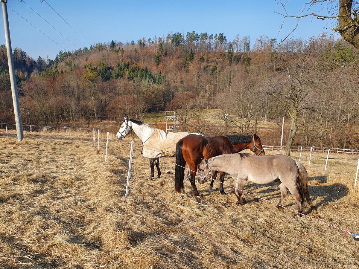 Stájník / stájnice - 8