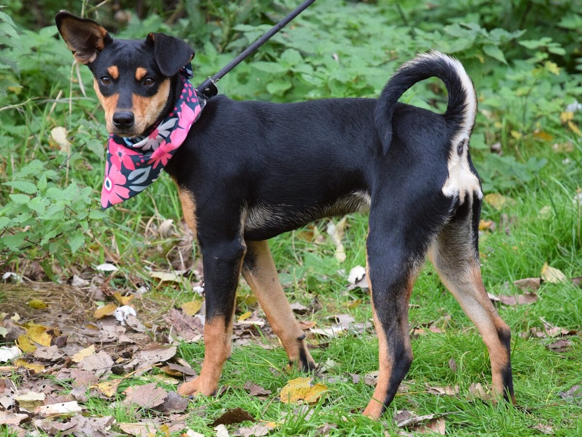 Vitalina rezervace - 8