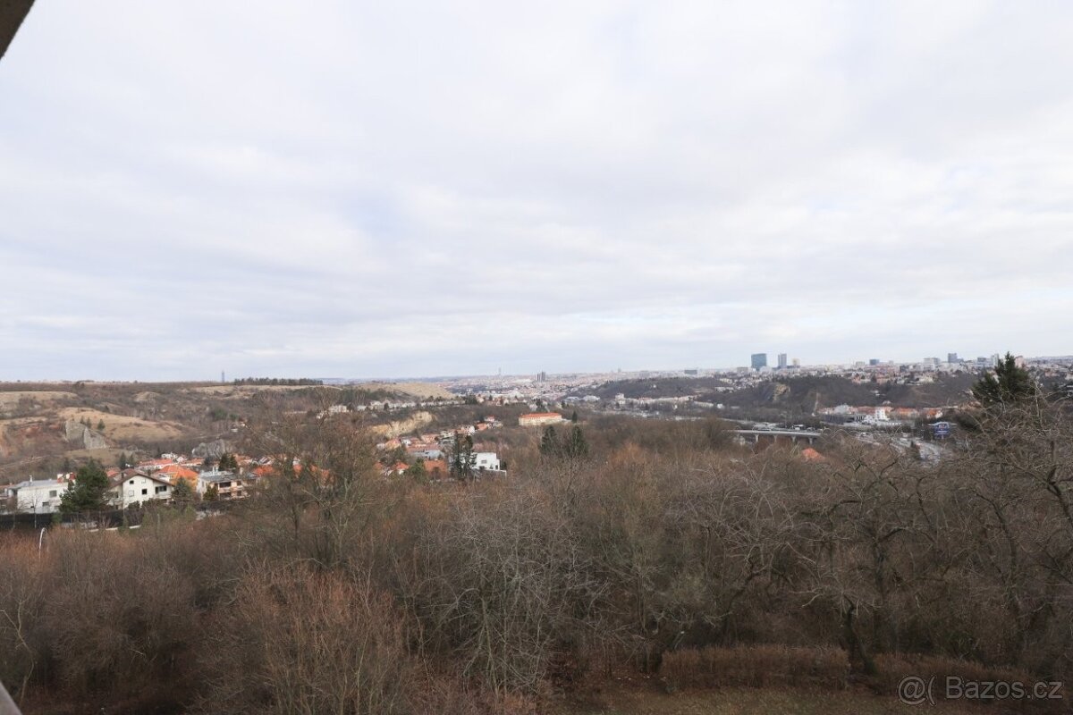 Pronájem bytu 3+1 80 m² (pokoj) spolubydlení - 8